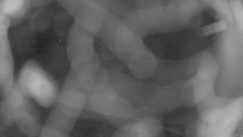 Zámecké koupaliště Holešov