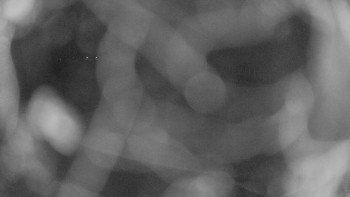 Zámecké koupaliště Holešov