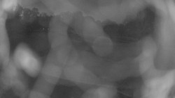 Areál koupaliště Holešov