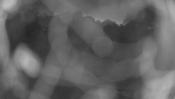 Areál koupaliště Holešov