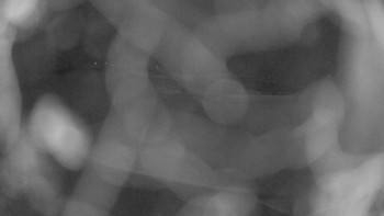 Zámecké koupaliště Holešov