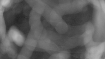 Zámecké koupaliště Holešov