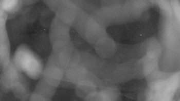 Zámecké koupaliště Holešov