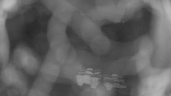 Areál koupaliště Holešov