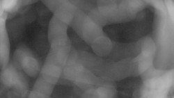 Areál koupaliště Holešov