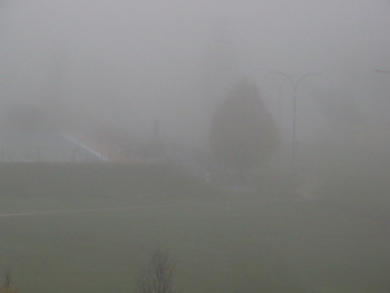 Snímek 5.11.2025 v 07:45