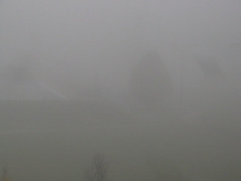 Snímek 5.11.2025 v 08:30