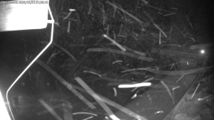 Dolní Morava - Chata Slaměnka - 11.1.2026 v 01:45 Dolní Morava - Chata Slaměnka - 11.1.2026 v 01:45