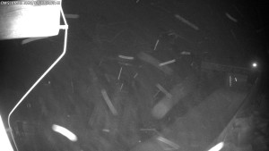 Dolní Morava - Chata Slaměnka - 11.1.2026 v 02:45 Dolní Morava - Chata Slaměnka - 11.1.2026 v 02:45