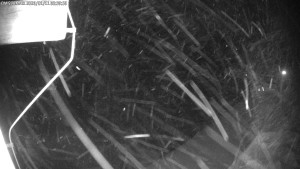 Dolní Morava - Chata Slaměnka - 11.1.2026 v 06:45 Dolní Morava - Chata Slaměnka - 11.1.2026 v 06:45