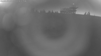 Snímek 7.11.2025 v 17:30