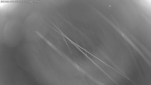 Dolní Morava - Stezka v oblacích - 30.12.2025 v 01:30 Dolní Morava - Stezka v oblacích - 30.12.2025 v 01:30