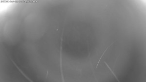 Dolní Morava - Stezka v oblacích - 11.1.2026 v 00:45