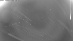 Dolní Morava - Stezka v oblacích - 11.1.2026 v 01:30