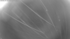 Dolní Morava - Stezka v oblacích - 11.1.2026 v 04:45