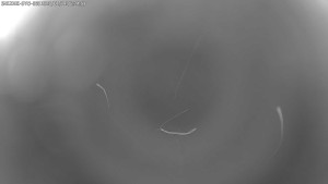 Dolní Morava - Stezka v oblacích - 11.1.2026 v 06:30