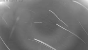 Dolní Morava - Stezka v oblacích - 21.3.2026 v 02:45 Dolní Morava - Stezka v oblacích - 21.3.2026 v 02:45