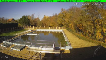 Snímek    4.11.2025 v 10:30