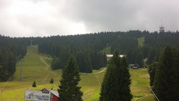Snímek    13.7.2025 v 13:32