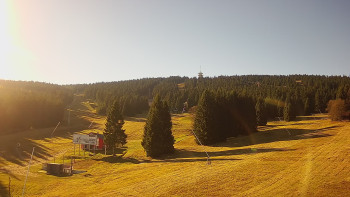 Snímek 6.11.2025 v 10:32