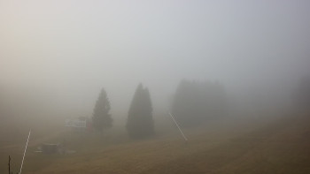 Snímek 8.11.2025 v 08:15