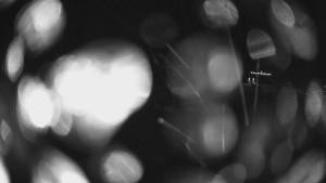 Horské atrakce Ramzová - Dolní část sjezdovky Skiareálu Ramzová - 7.2.2024 v 21:00