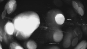 Horské atrakce Ramzová - Dolní část sjezdovky Skiareálu Ramzová - 7.2.2024 v 23:00 Horské atrakce Ramzová - Dolní část sjezdovky Skiareálu Ramzová - 7.2.2024 v 23:00