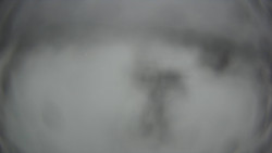 Dolní část sjezdovky Skiareálu Ramzová