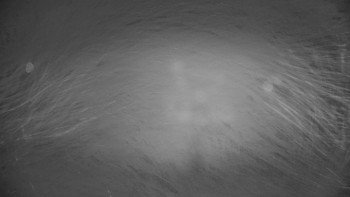 Horské atrakce Ramzová