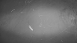 Dolní část sjezdovky Skiareálu Ramzová