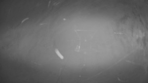 Horské atrakce Ramzová - Dolní část sjezdovky Skiareálu Ramzová - 11.12.2025 v 03:00 Horské atrakce Ramzová - Dolní část sjezdovky Skiareálu Ramzová - 11.12.2025 v 03:00