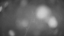 Dolní část sjezdovky Skiareálu Ramzová