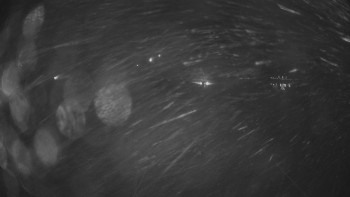 Horské atrakce Ramzová