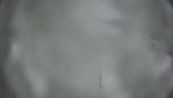 Dolní část sjezdovky Skiareálu Ramzová