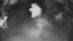 Dolní část sjezdovky Skiareálu Ramzová