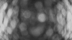 Dolní část sjezdovky Skiareálu Ramzová