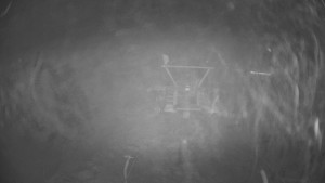 Horské atrakce Ramzová - Dolní část sjezdovky Skiareálu Ramzová - 29.1.2026 v 03:00 Horské atrakce Ramzová - Dolní část sjezdovky Skiareálu Ramzová - 29.1.2026 v 03:00