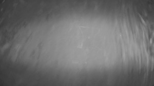 Horské atrakce Ramzová - Dolní část sjezdovky Skiareálu Ramzová - 13.3.2026 v 02:00