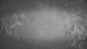 Horské atrakce Ramzová - Dolní část sjezdovky Skiareálu Ramzová - 13.3.2026 v 04:00