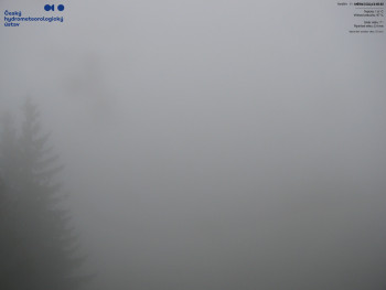 Snímek    11.5.2025 v 06:45