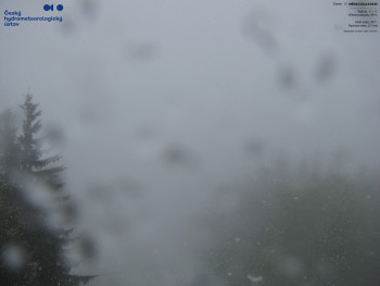 Snímek    15.5.2025 v 08:45