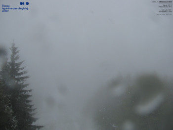 Snímek    15.5.2025 v 09:00