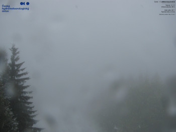 Snímek    15.5.2025 v 09:15