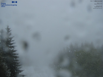 Snímek    15.5.2025 v 09:45