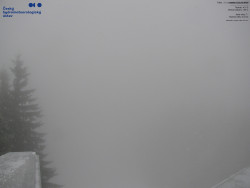 Červená sjezdovka, Třinec