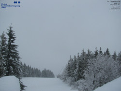 Červená sjezdovka, Třinec