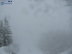 Červená sjezdovka, Třinec