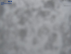 Červená sjezdovka, Třinec