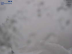 Červená sjezdovka, Třinec