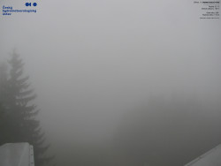 Červená sjezdovka, Třinec